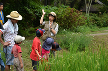 谷戸田の稲作体験。全10回の連続イベントを3月頃に募集し、応募のあった参加者（家族等）に年間を通して参加してもらう。