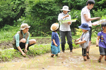 谷戸田の稲作体験。全10回の連続イベントを3月頃に募集し、応募のあった参加者（家族等）に年間を通して参加してもらう。