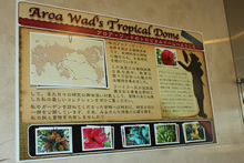 謎の女性植物学者・アロア・ワッドのトロピカルドームという世界観を作りあげる。