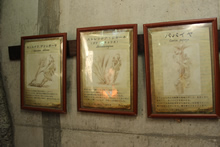ドーム内の壁には、アロア・ワッドによる植物の記録の数々が飾られている。