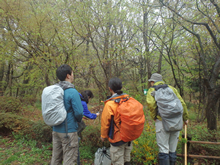 写真は、植物調査の様子（野外調査研修より）。小須田さんは昆虫調査が専門だが、植物でも昆虫の採集に関わるもの、つまり昆虫の生息環境や食草については区別して見ている。