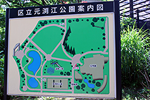 生物園の前に掲示された、足立区立元渕江公園の案内図