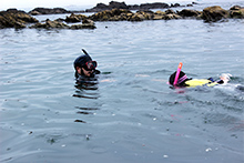 水中マスクをつけて海を泳ぐシュノーケル班の子どもたちを率いる星野さん。