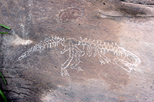 その“チョーク”で描かれた、恐竜の骨格は、驚きのクオリティだ。