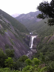 白神山地とともに日本で初めて世界自然遺産に登録された屋久島