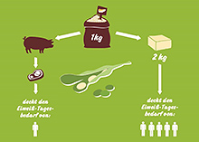1kgの大豆でどれだけの人間のタンパク質需要を満たせるか_肉と大豆の比較　©Taifun-Tofu GmbH