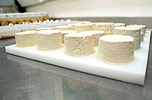 500の交配種の大豆でミニ豆腐製造実験　©Taifun-Tofu GmbH