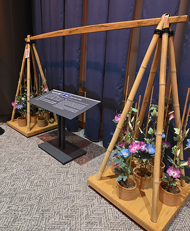 江戸時代の朝顔ブームは「棒手振(ぼてふり)」が鉢植えを売り歩いたことで広まった(江戸東京博物館)