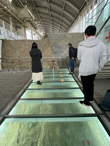 阪神淡路大震災を引き起こした野島断層（北淡震災記念公園 野島断層保存館）