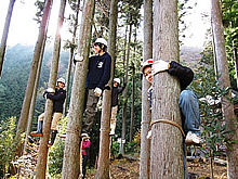 若者からシニアまで汗を流す奥多摩の森林整備活動