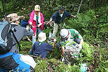 富士山清掃に毎年6千人のボランティアが参加