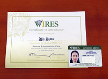資格を取得すると発行される証明書とIDカード。