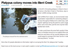 メリ川にカモノハシの営巣地が見つかったことを知らせる地元紙のウェブ版
