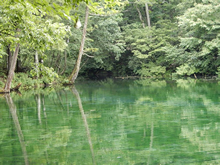 津南町では、名水100選にも選ばれている「竜ヶ窪」の神秘的な池を見ながらの森林浴も。