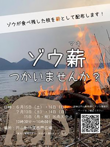 アジアゾウが食べ残した薪を動物園で無料配布していました。（札幌市円山動物園HPより）