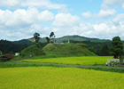 世界農業遺産（GIAHS）038