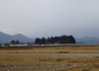 宮城県大崎地域が日本で九番目の世界農業遺産に認定