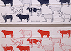 【奥州市牛の博物館】牛のこと、牛と私たちのこと「牛品種手ぬぐい」