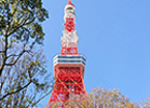 東京タワーと芝公園・もみじ谷
