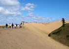 鳥取砂丘の地形・地質を楽しもう！