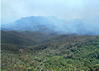 オーストラリア史上最悪の森林火災はなぜ起きたか