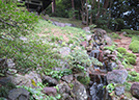 江戸・東京の名庭園を歩く011